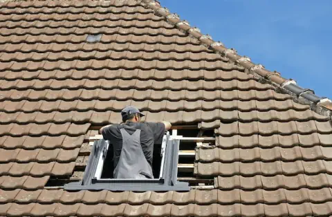 Pose de velux - Petosse